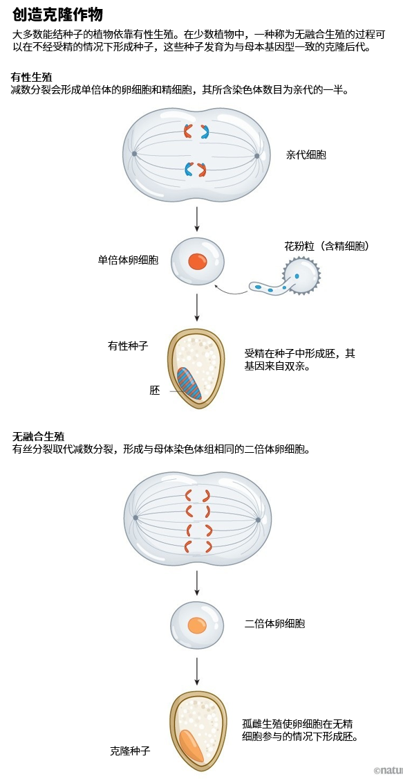 IMG_1308.PNG