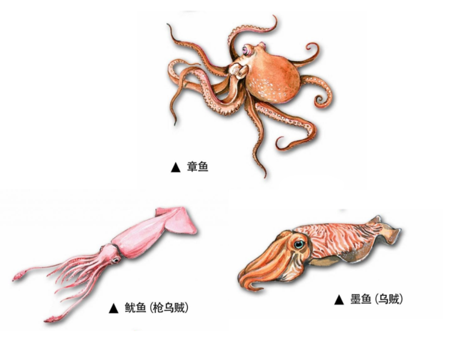 IMG_1587.PNG