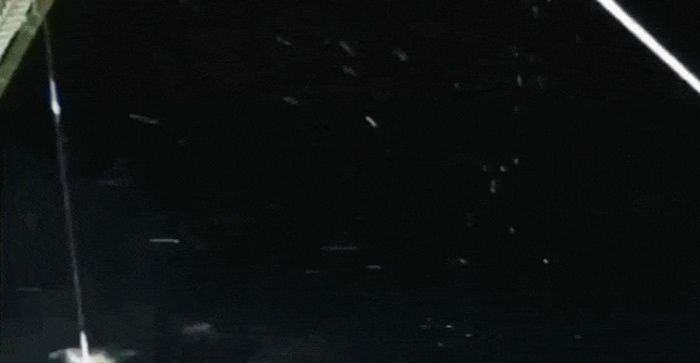 IMG_1591.GIF
