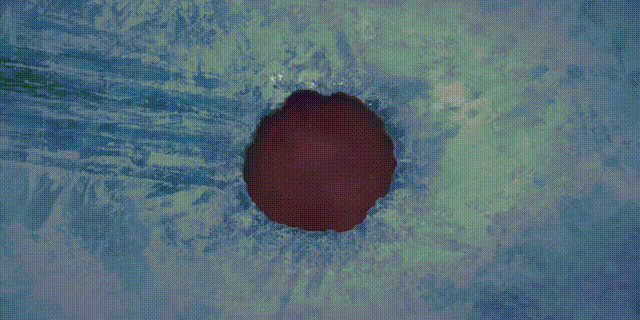 IMG_1897.GIF