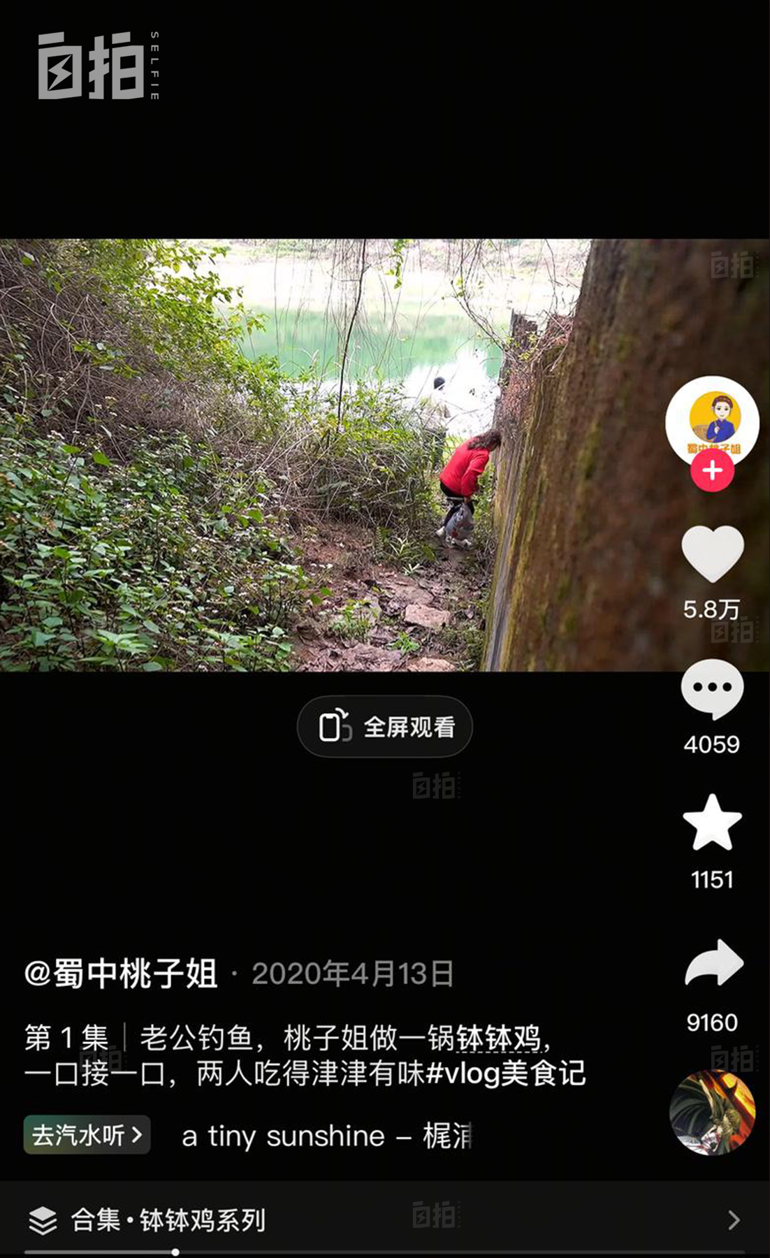 IMG_1905.PNG