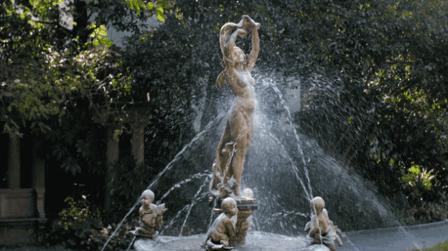 IMG_2709.GIF