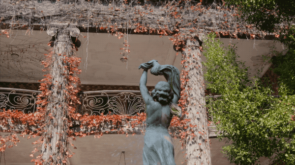 IMG_2714.GIF