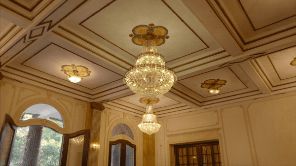 IMG_2722.GIF