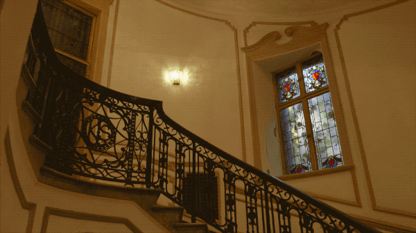 IMG_2730.GIF