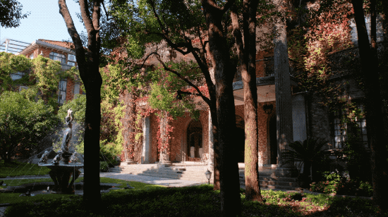 IMG_2735.GIF