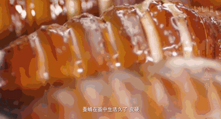IMG_2805.GIF