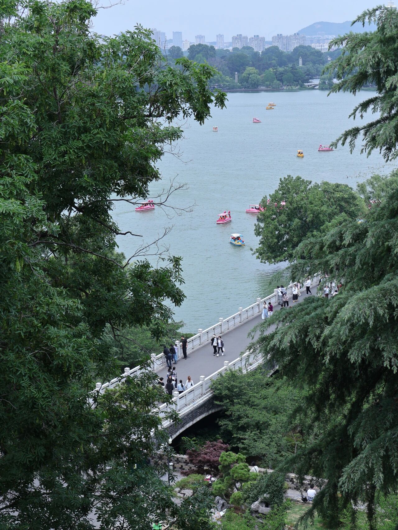 IMG_2901.JPG