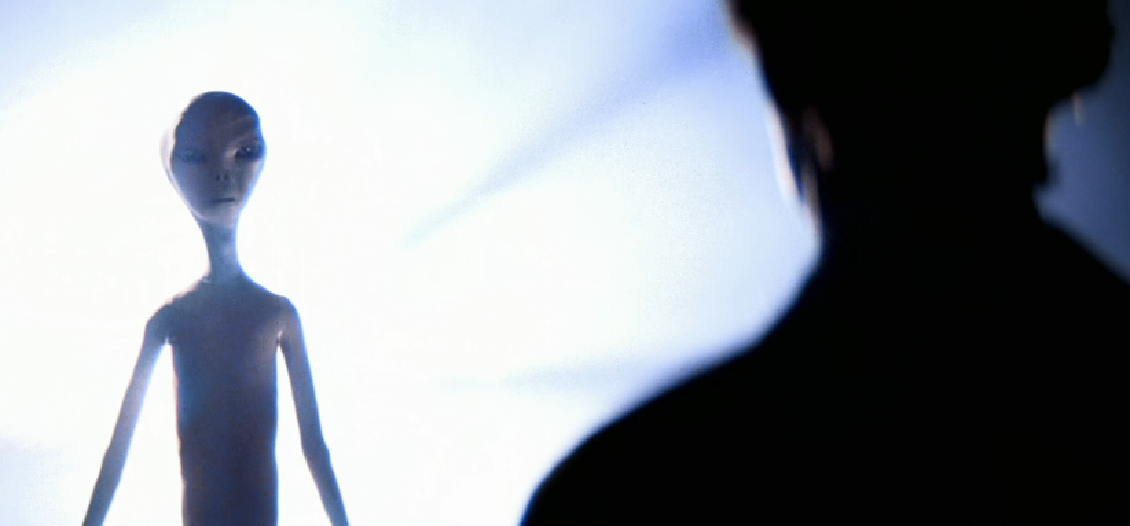 IMG_3217.PNG
