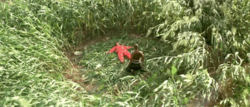 IMG_3367.GIF