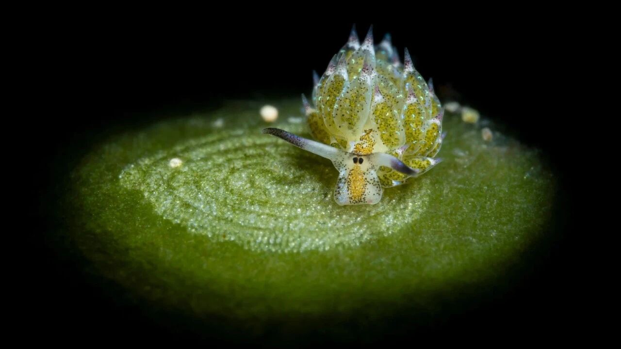 IMG_3670.JPG