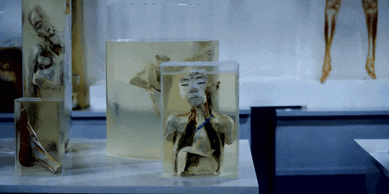 IMG_3860.GIF