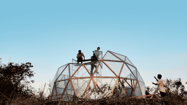 IMG_4460.GIF