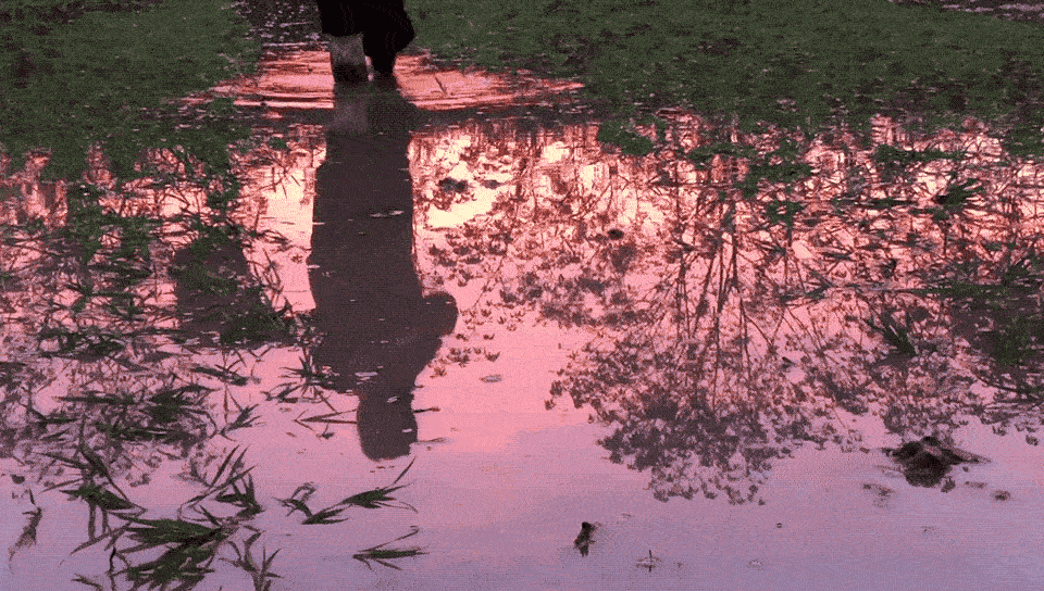 52-ezgif.com-optimize.gif