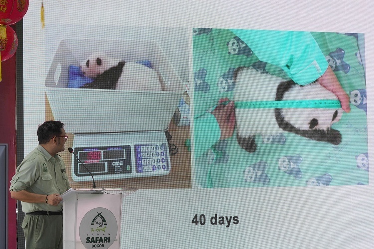0.jpg