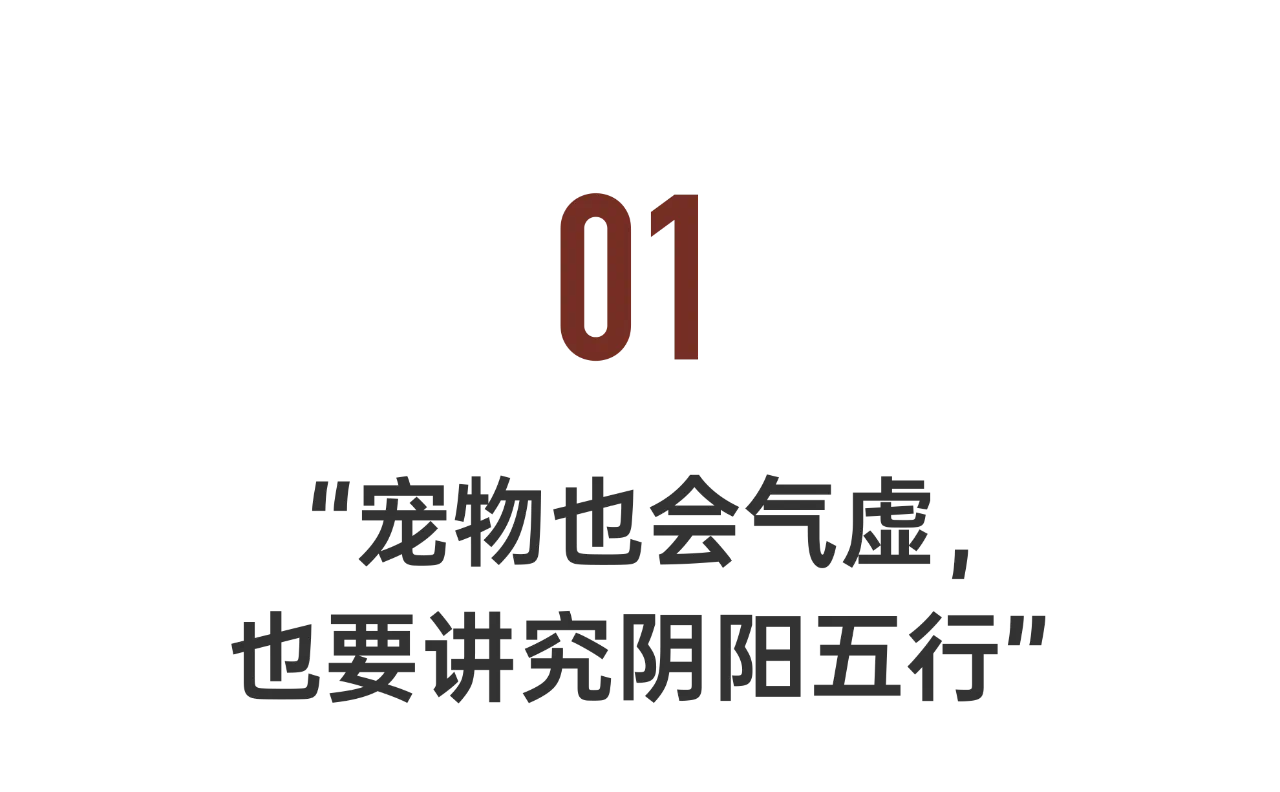IMG_6329.PNG