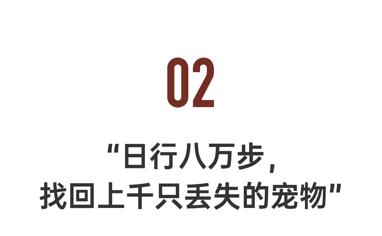 IMG_6337.PNG