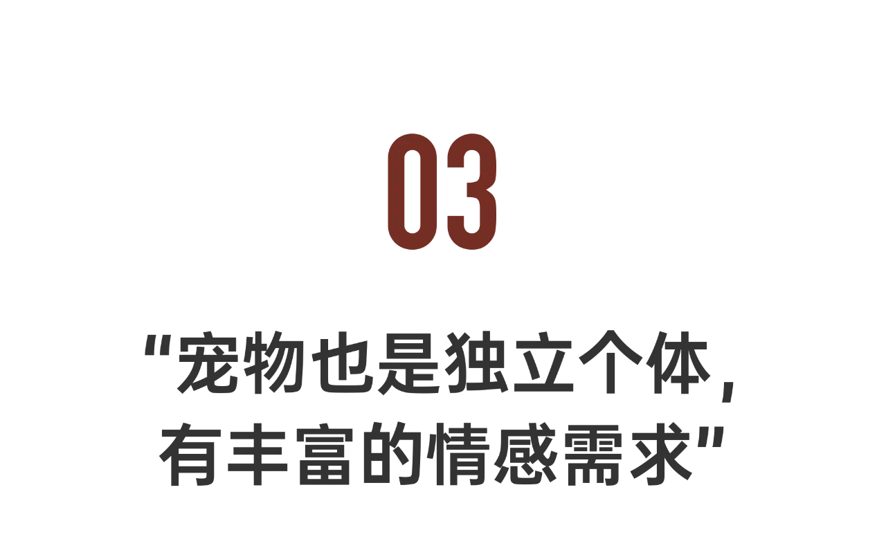IMG_6346.PNG