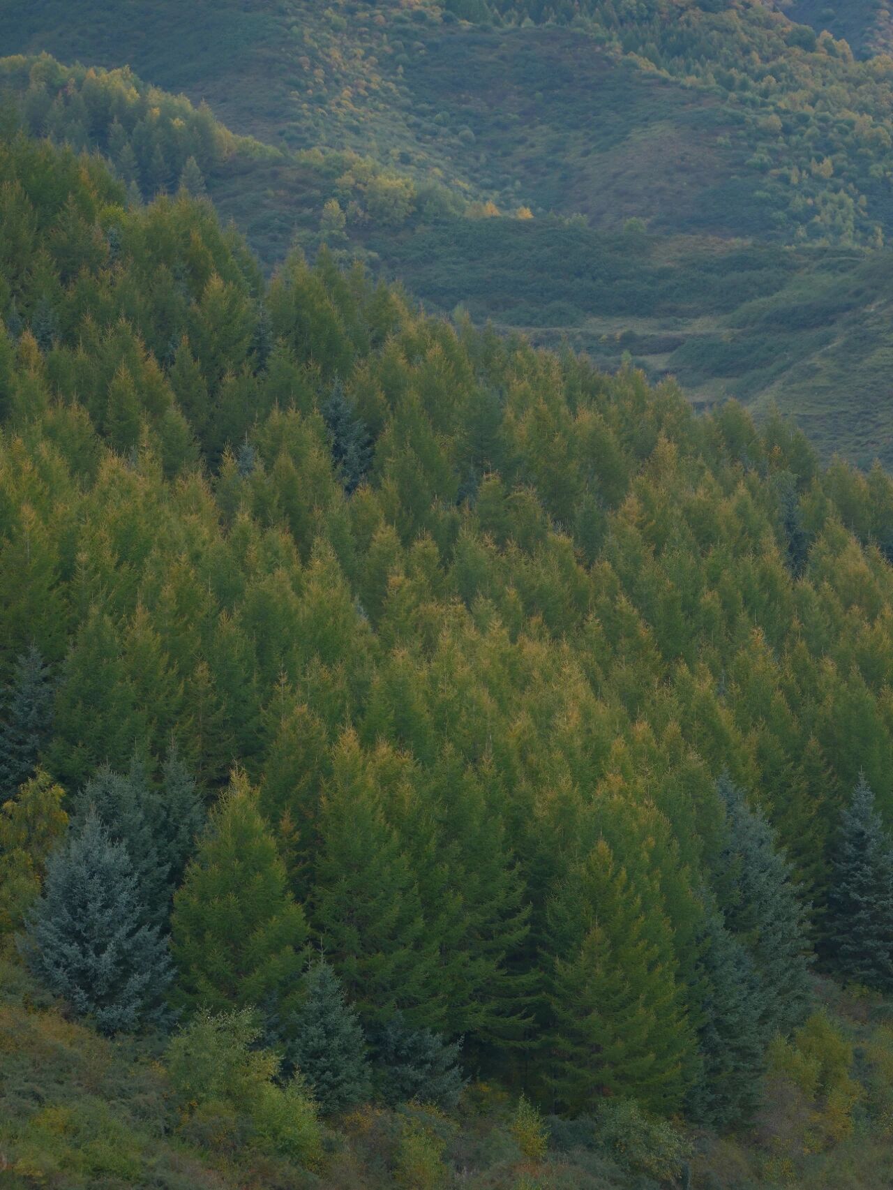 IMG_5439.JPG