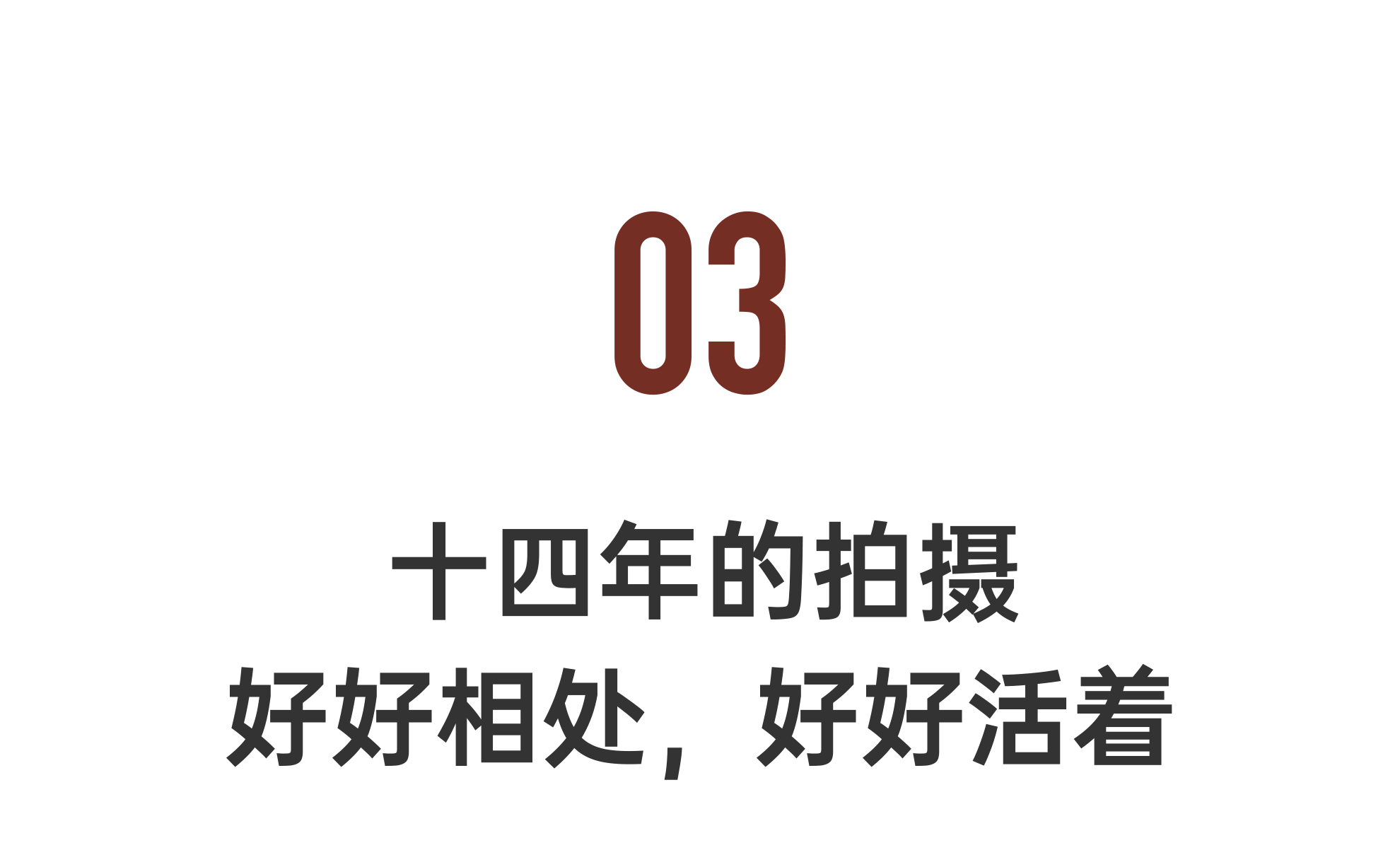 IMG_6155.PNG