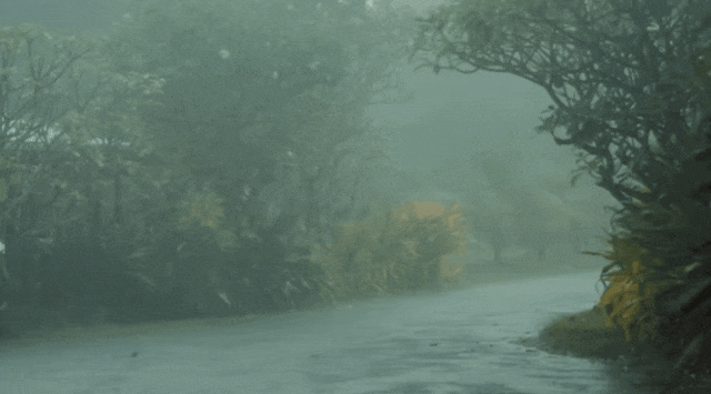 IMG_6966.GIF