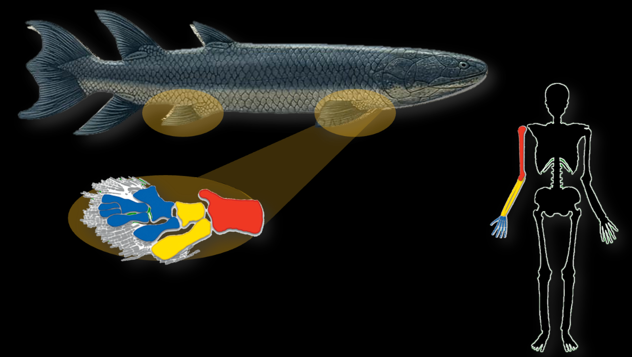 IMG_7138.PNG