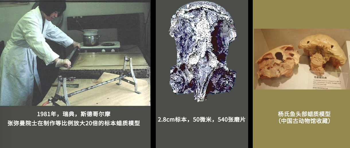 IMG_7152.PNG