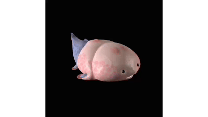 IMG_7161.GIF