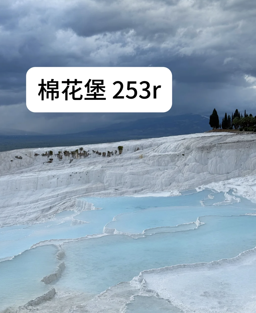 IMG_8529.PNG