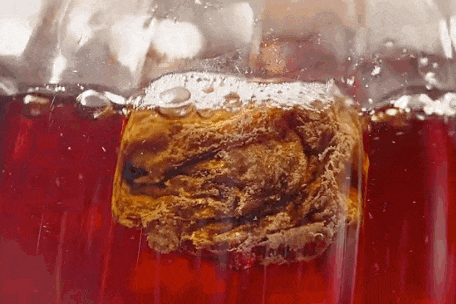 IMG_0036.GIF