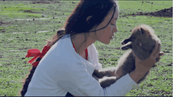 IMG_9716.GIF