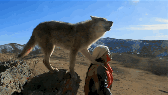 IMG_9720.GIF