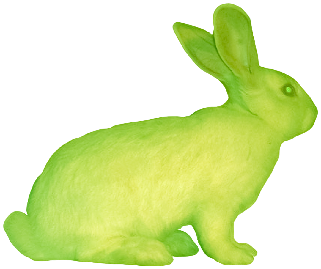 IMG_0221.PNG