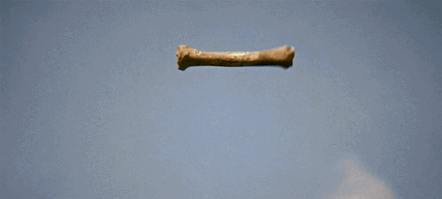 IMG_0247.GIF