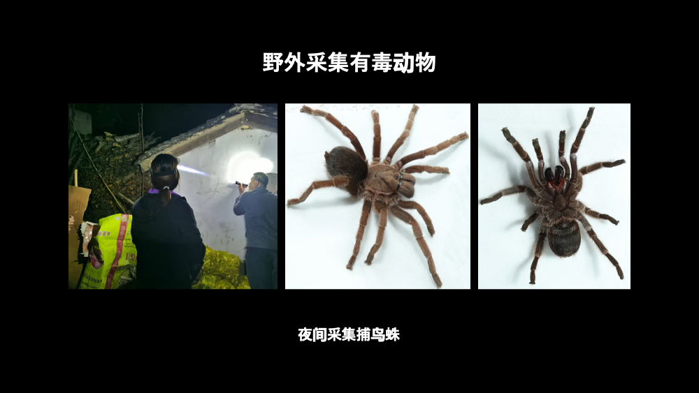 IMG_0452.PNG