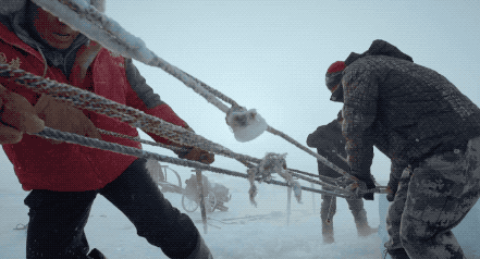 IMG_1443.GIF