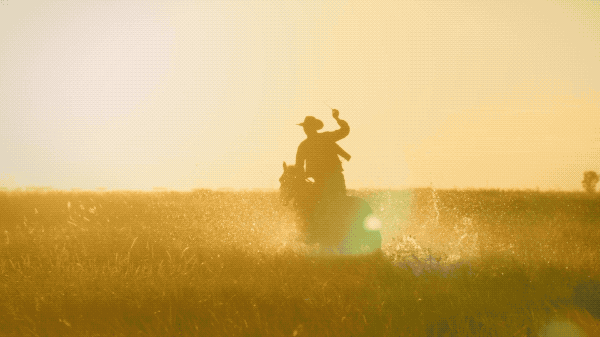 IMG_1465.GIF