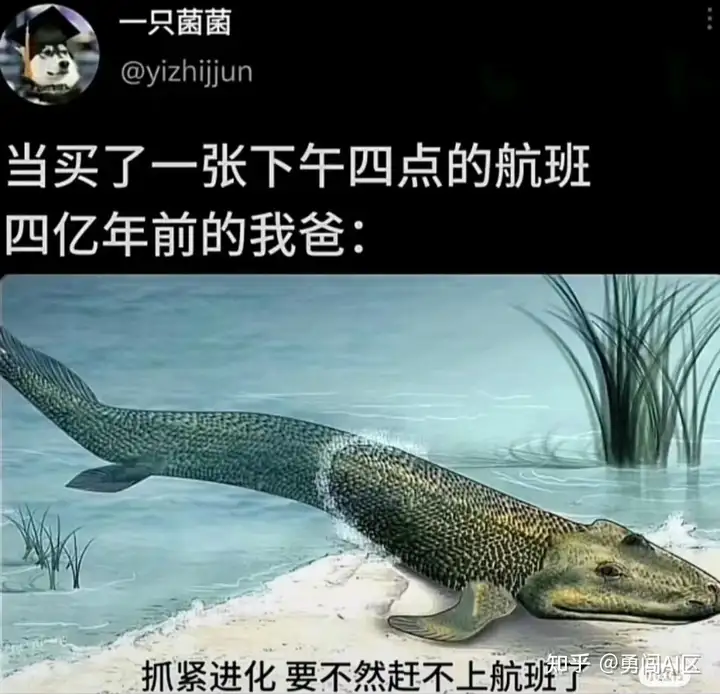 IMG_1708.PNG