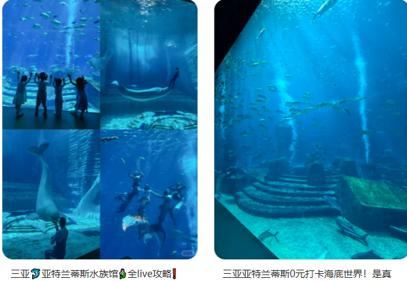 IMG_2505.PNG