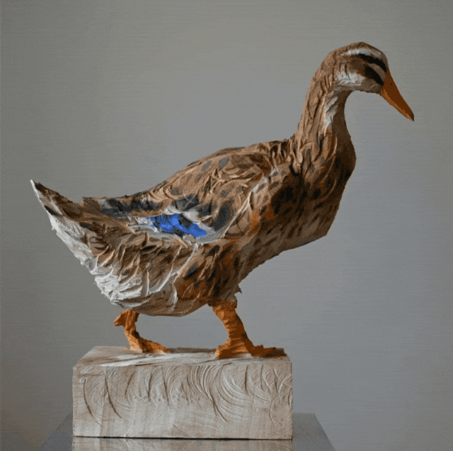 IMG_2564.GIF