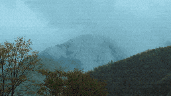 1-ezgif.com-optimize.gif