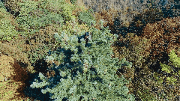 2-ezgif.com-optimize.gif
