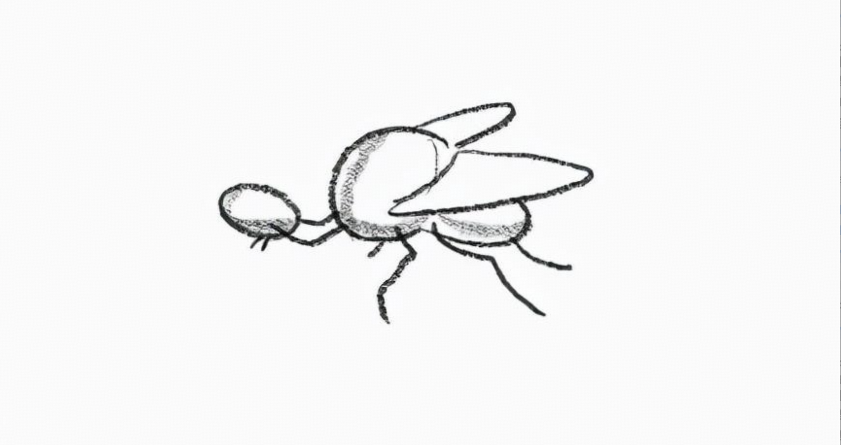 IMG_2713.PNG