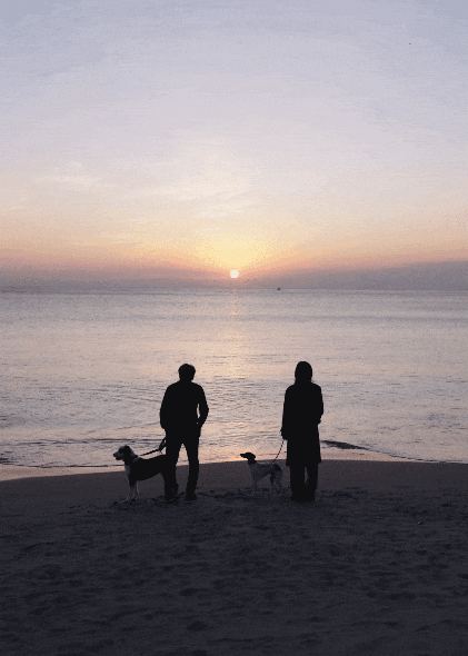 IMG_3121.GIF