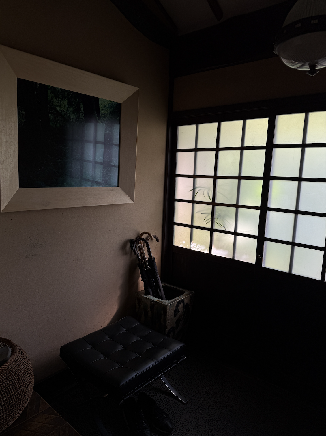 IMG_3123.PNG