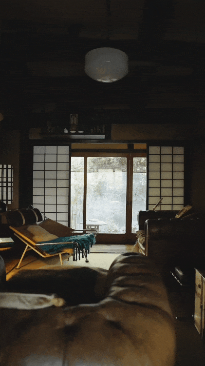 IMG_3124.GIF