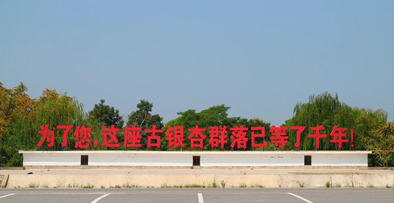 IMG_9720.JPG