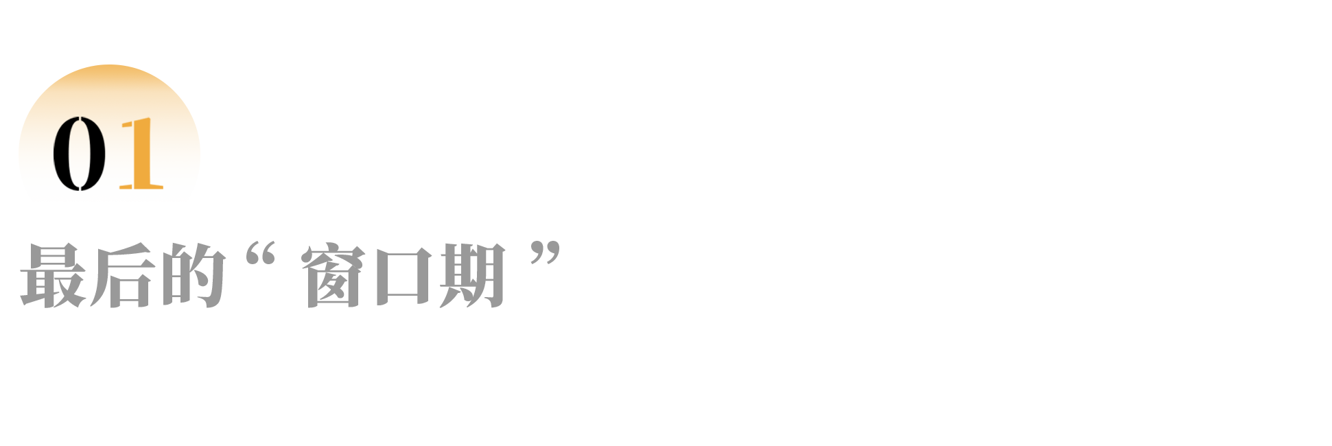 IMG_9862.PNG