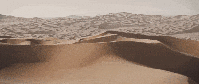 IMG_1736.GIF