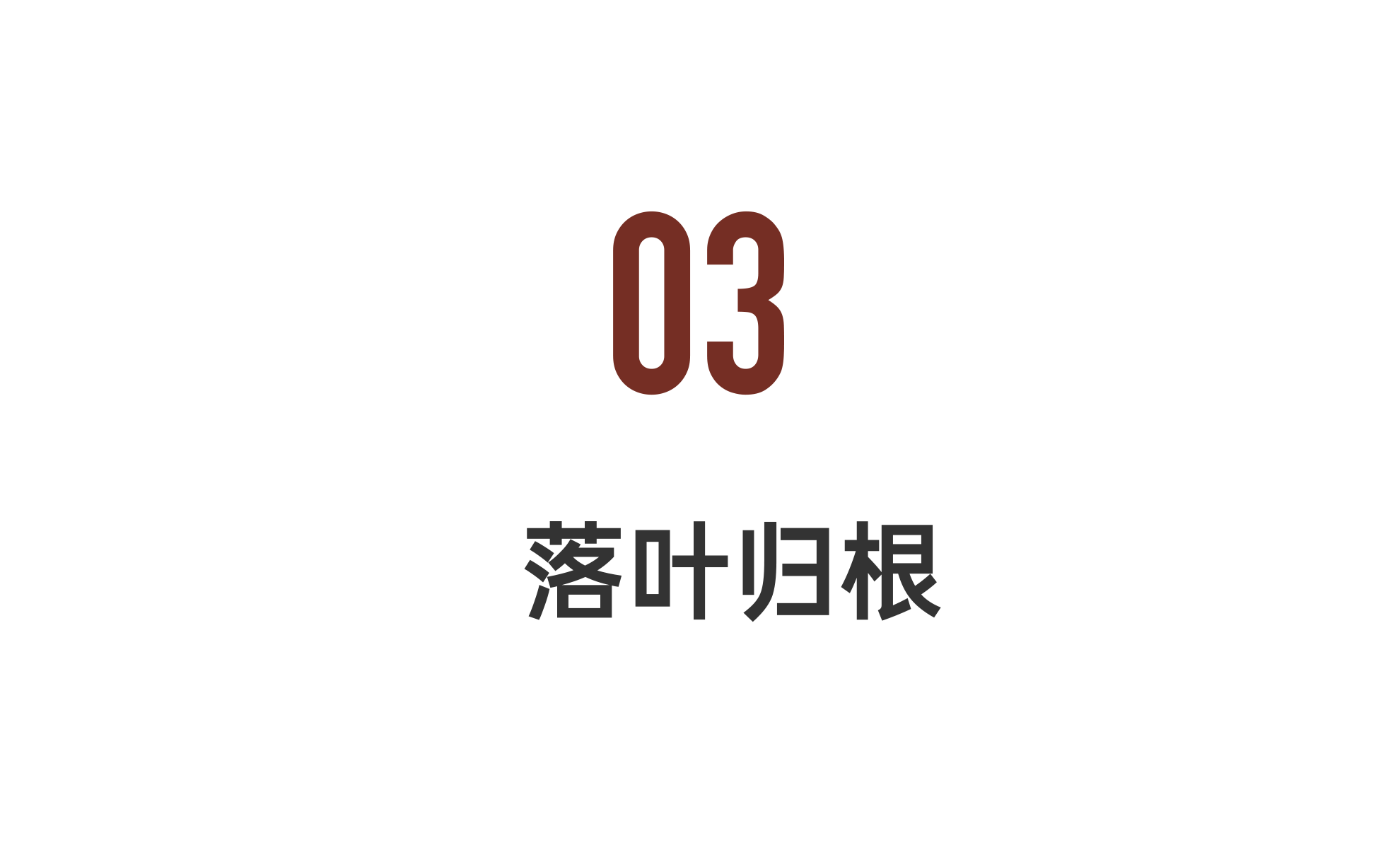 IMG_4675.PNG